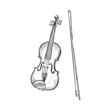 violin vector line art illustration