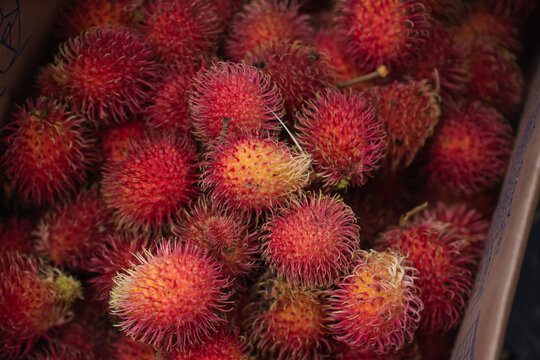 Vibrant rambutan fruits in a container, Costa Rica