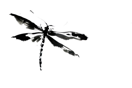 PNG Dragonfly Japanese minimal art invertebrate silhouette.