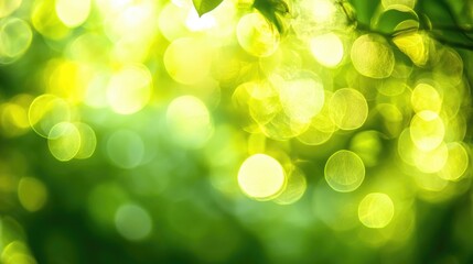 Fototapeta premium Soft green and yellow bokeh blur resembling dappled sunlight through trees, ideal for a nature theme.