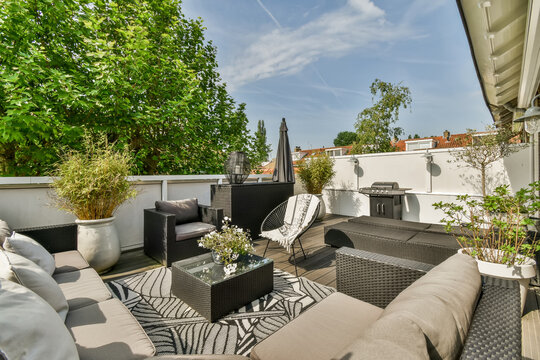 Cozy rooftop terrace with greenery and outdoor furniture