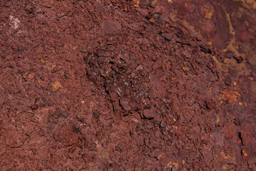 Close up of a red sandstone in former quarry