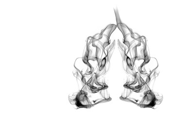 Artistic Black Smoke Lungs Silhouette on White Background