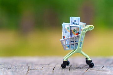 Mini Shopping Cart Filled with Cash on Rustic Wooden Surface
