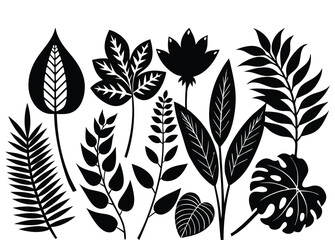 flower vector silhouette illustration