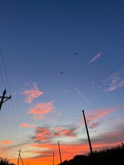The sunset and the birds
