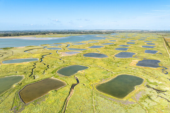 La baie d' Authie sud