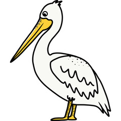Pelican
