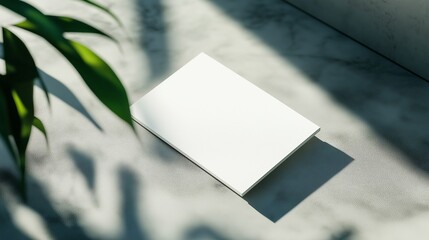 white business card on a dark minimal business background
