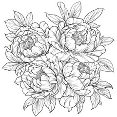 Hand-drawn bouquet of peonies with detailed petals and leaves on a white background. Black and white floral illustration. Botanical line art for coloring book, design, and print. Generative AI