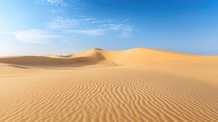 Expansive desert landscape with towering sand dunes and a clear blue sky overhead