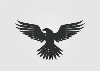 Obraz premium Eagle Hawk Silhouette Vector Art Illustration Design