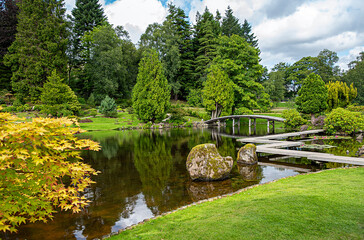 Fototapeta premium Landscape photography of Japanese style garden with bridge and wooden path; park; botanic; pond; lily; water; grass; reflection