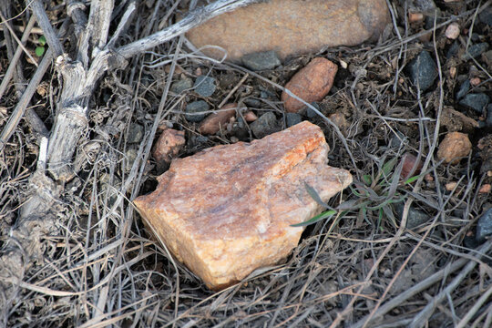 rocks strew on the ground