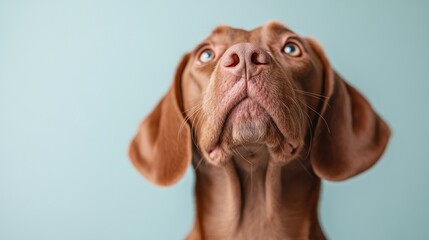 A detailed portrait of a brown dog with bright blue eyes sitting against a soft pastel background, featuring a mix of emotions and curious expressions, evoking affection and guardianship.