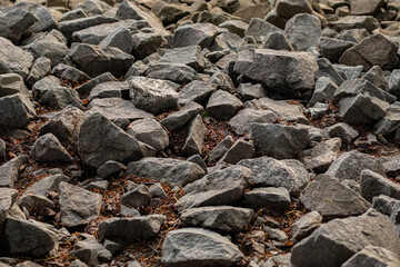 A landscape of variously sized granite rocks scattered across the ground, interspersed with fallen leaves and branches, creating a rugged and natural terrain.
