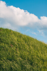 A sloping grassy hill under a bright blue sky with fluffy white clouds, capturing the tranquility...