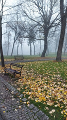 bench in autumn park