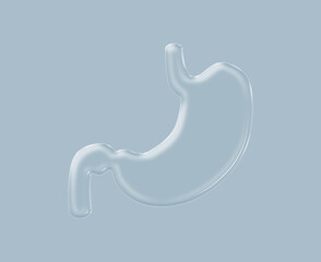 illustration of transparent human stomach abdomen

