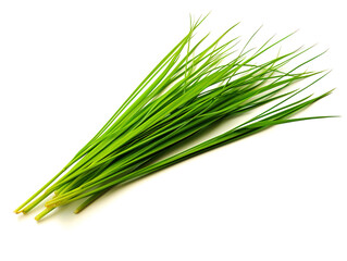 Fresh Chinese Chive leaves on white background