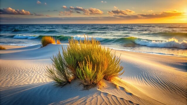 Softly glowing ephedra stands sentinel on a sandy beach, its delicate branches swaying with the gentle rhythm of rolling waves in the moonlit night.