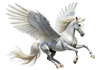 Majestic white winged horse, Pegasus, in flight, isolated on a white background