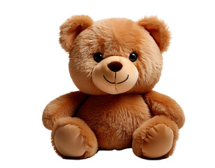 A plump, cute teddy bear in PNG

