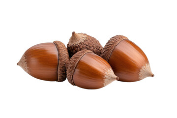 A close-up of shiny acorns showcasing their rich brown color and textured caps, perfect for nature-themed projects.