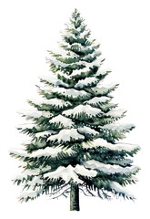 Obraz premium PNG Snow-covered evergreen tree illustration