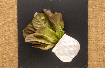 A sprig of fragrant Klee lettuce on a slate stone, macro, top view