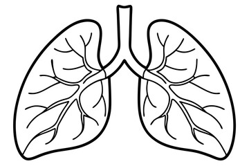 Human lungs line art vector illustration 
