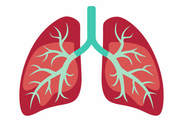 Human lungs vector illustration
