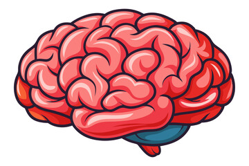 Human brain vector  illustration
