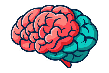 Human brain vector  illustration
