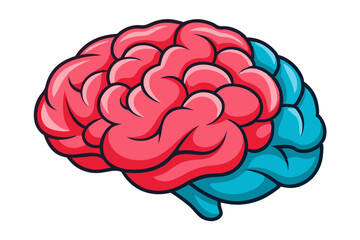 Human brain vector  illustration
