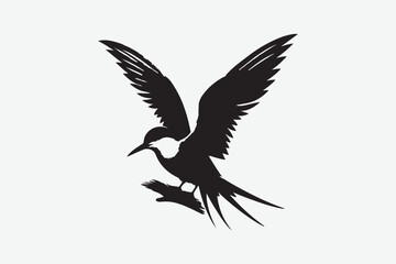 Sparrow  Bird vector art and illustration