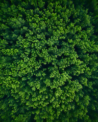 green background