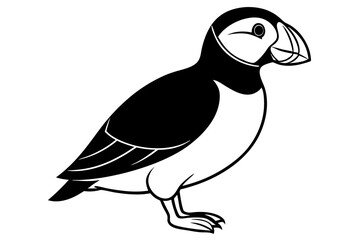 Fototapeta premium illustration of a cartoon penguin