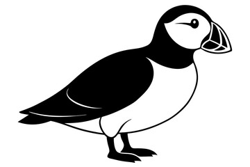 illustration of penguin