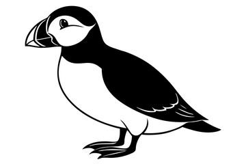 Obraz premium penguin on a white background