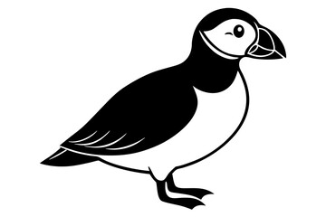 black and white bird