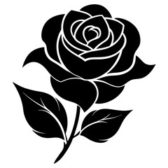 black and white rose