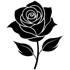 black and white rose
