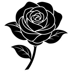 black rose vector illustration