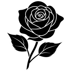 black and white rose