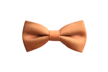 Bow Tie Mockup isolated on transparent background