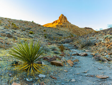 Park Peak at The Crest of The Saddle on The Cowboy Trail,  Sloan Canyon National Conservation Area, Nevada, USA