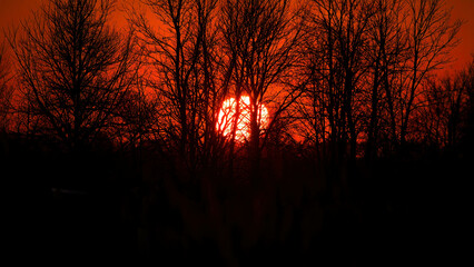 The sunrise behind forest in Wisconsin