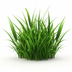 A bunch of green grass is shown on a white background