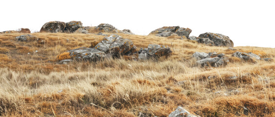 PNG Rocky hillside with dry grass